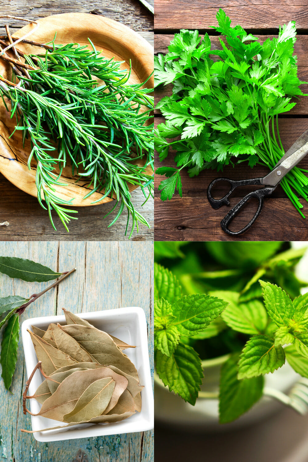 15 Best Substitutes For Rosemary To Save Your Meal - No Fuss Kitchen